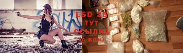 дмт Новозыбков