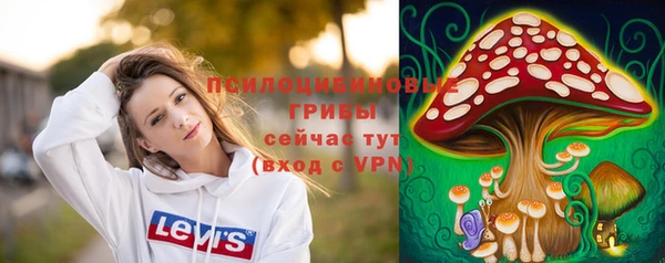МДПВ Абинск