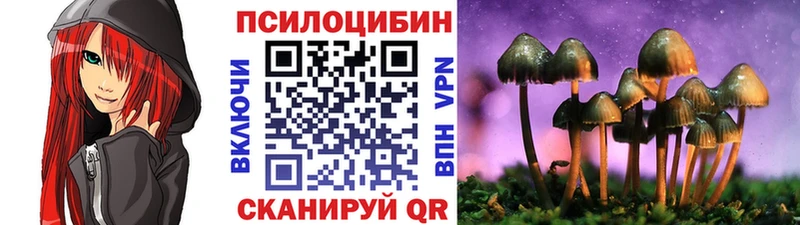 Псилоцибиновые грибы мицелий кракен как войти Шарья
